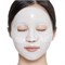 VT Cosmetics Двухфазная гидрогелевая маска с центеллой Pro Cica Reedle Shot 100 2Step Hydrogel Mask 10335 - фото 626